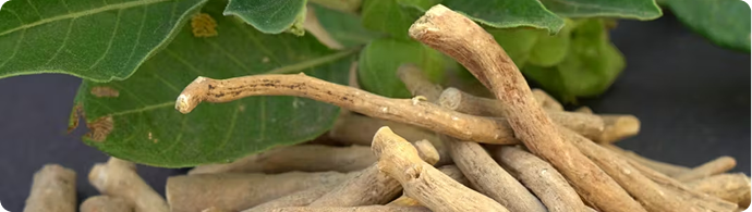 ASHWAGANDHA