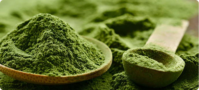 L-THEANINE